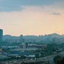 신라특산물