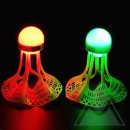 배드민턴(야간) 이미지