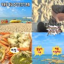 미하가든 이미지