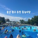 외솔큰길 | 울산 중구 동천 물놀이장 후기(예약, 주차, 음식)