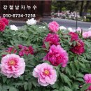 새봄농장(3) 이미지