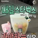 네일바이숙 | April, 2026 | 4월 둘째주 주간일상