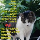 나드리옷수선 이미지