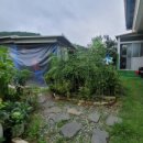 진전면892 이미지