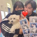 몽샤르망 애견유치원 | 나 한라봉! 몽샤르망 애견유치원 수료식 하다.