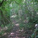 용천사입구 이미지