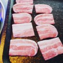 비치조아 이미지