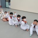 동탄 청림태권도장 이미지