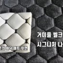 대륙시트