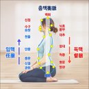 팔만대장경 경문보다, 사서삼경 경문보다, 주역의 경문보다도 단군세기 서문이 천고의 대명문이다 이미지