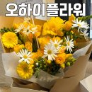 오하이플라워