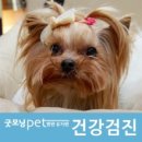 판교종합 동물병원 이미지