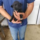 문곡2길 이미지