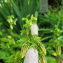 (주)힐링팜 이미지