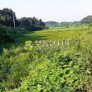 도화리농장 이미지