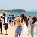 대천해수욕장 이미지