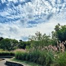 불로고분공원 이미지