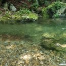 숲속의하얀집 이미지