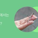 맘숲놀이연구소