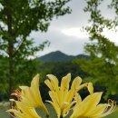 에이치팜 이미지