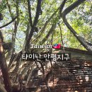 주식회사 준무역 | 대만 가오슝 타이난여행 반나절 코스 안평노가 안평고보 안평수옥 후기