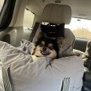 스테이홍천 이미지