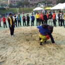 완도중학교 이미지