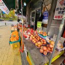 청도청과 - 포항시 북구 양학로 74-32 | 청도청과