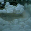 미솔약국 이미지