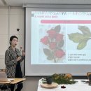 대치1작은도서관 이미지