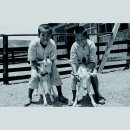 마산가축병원 이미지