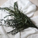 (주)허그린 이미지