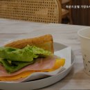 하운드 오시리아점 이미지