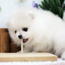 꾸꾸까까 이미지