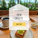 초이스스테이홍대 | 애월 브런치 콜린 제주 홍대 플라워카페가 제주도로!