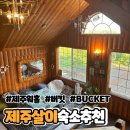글로벌제주문화협동조합 | 제주도 2주살기 숙소 서귀포 게스트하우스 제주워홀 버킷