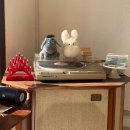 당진초교 | 커피박) 당진 감성 카페 치즈케이크 맛집 후기🧀