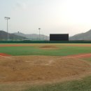 부강생활체육공원 이미지