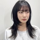 비쥬얼감