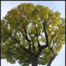 창룡대로 이미지