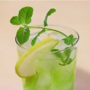 미도리(MIDORI)