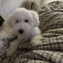 봉림동사림민원센터 이미지