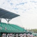 김세민 카카오 검색결과