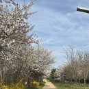 아라뱃길시천자전거대여소 | 인천 러닝 장소 추천 경인아라뱃길과 자전거 대여 코스