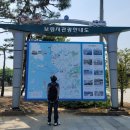 대천천1 이미지