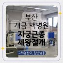 뚜레쥬르 부산 개금백병원 | 개금백병원 제왕절개 후기 고위험산모 자궁근종수술 5박6일 입원기