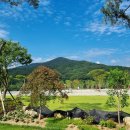 소리의섬 이미지