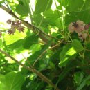 친구가있는집 이미지