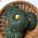 동식농장 이미지