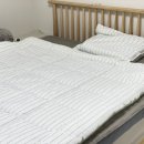 모던하우스 창립29주년, 소렌토썸머마켓 모던하우스 타임스퀘어점 마이호텔 싱글차렵이불 구입